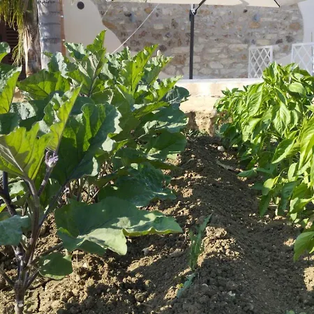 Casale Sammartano Appartamento