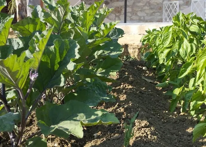 Casale Sammartano Lejlighed